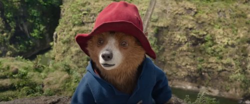 Paddington in Peru, Sony Pictures